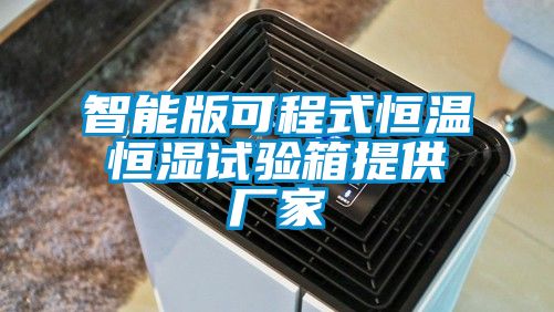 智能版可程式恒温恒湿试验箱提供厂家