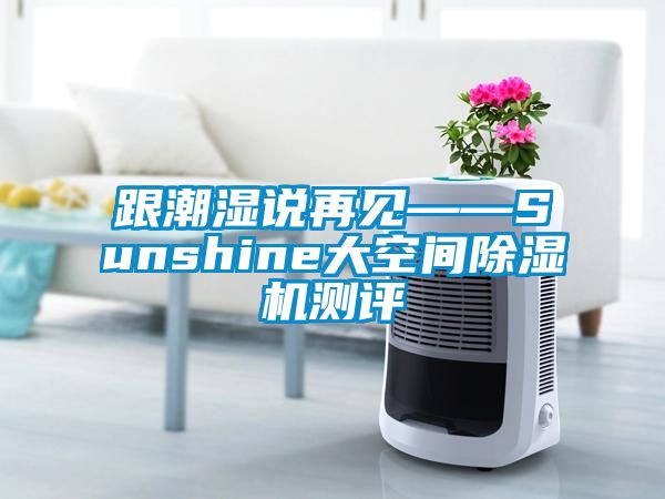 跟潮湿说再见——Sunshine大空间蜜柚直播APP正版下载测评