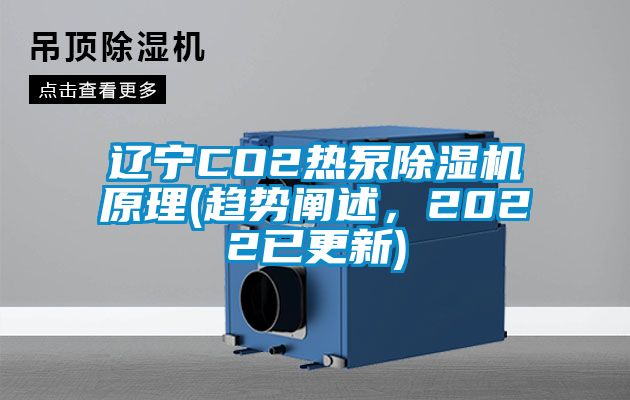 辽宁CO2热泵蜜柚直播APP正版下载原理(趋势阐述，2022已更新)