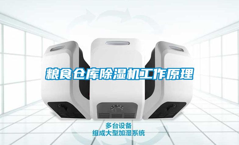 粮食仓库蜜柚直播APP正版下载工作原理