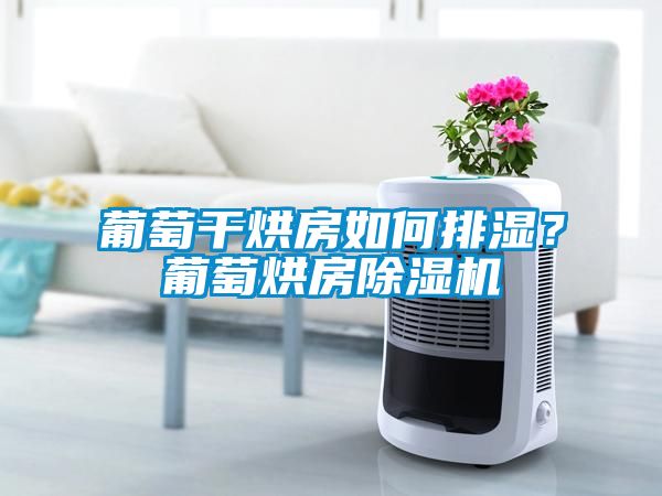 葡萄干烘房如何排湿？葡萄烘房蜜柚直播APP正版下载