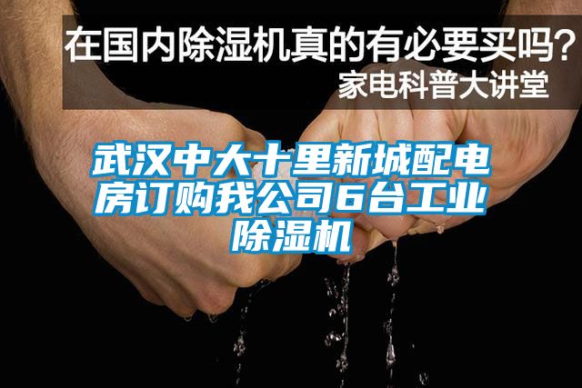 武汉中大十里新城配电房订购我公司6台工业蜜柚直播APP正版下载