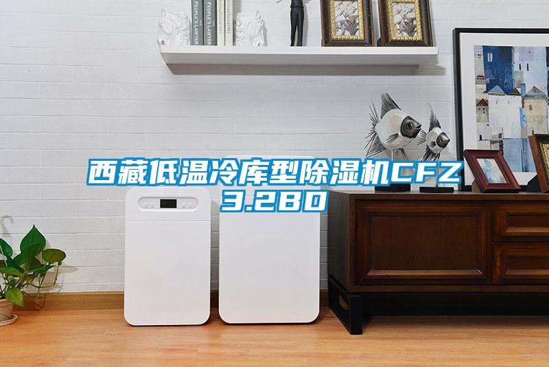 西藏低温冷库型蜜柚直播APP正版下载CFZ3.2BD