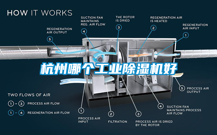 杭州哪个工业蜜柚直播APP正版下载好