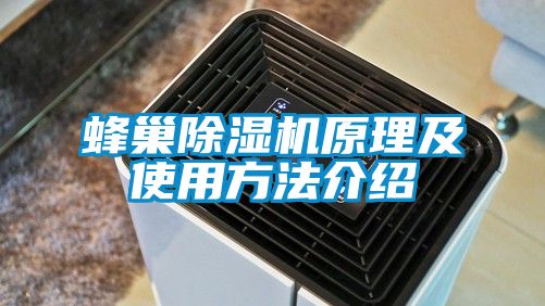 蜂巢蜜柚直播APP正版下载原理及使用方法介绍