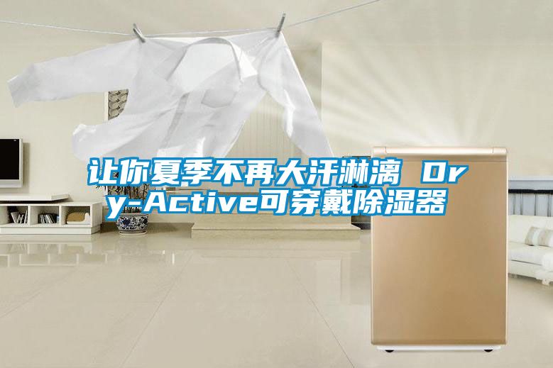 让你夏季不再大汗淋漓 Dry-Active可穿戴除湿器