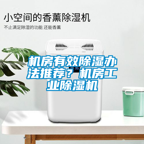 机房有效除湿办法推荐？机房工业蜜柚直播APP正版下载