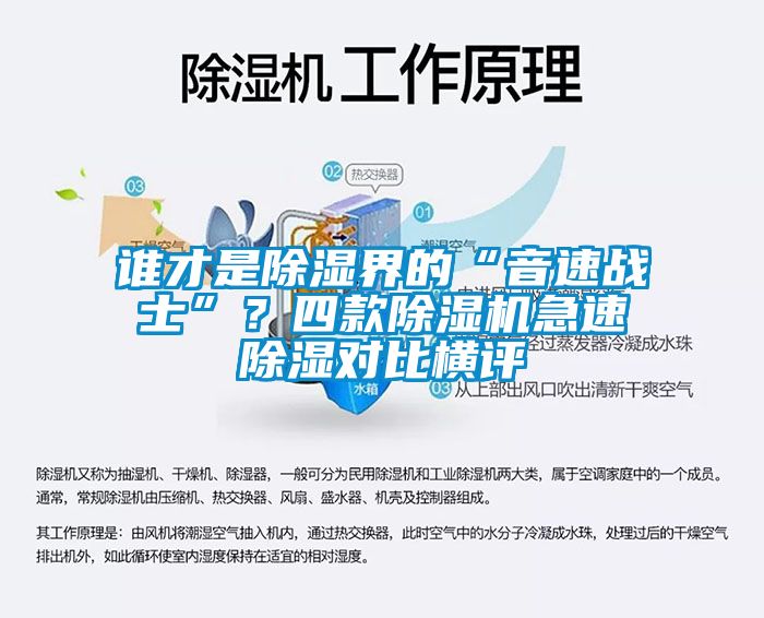 谁才是除湿界的“音速战士”？四款蜜柚直播APP正版下载急速除湿对比横评