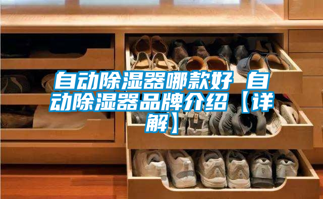 自动除湿器哪款好 自动除湿器品牌介绍【详解】