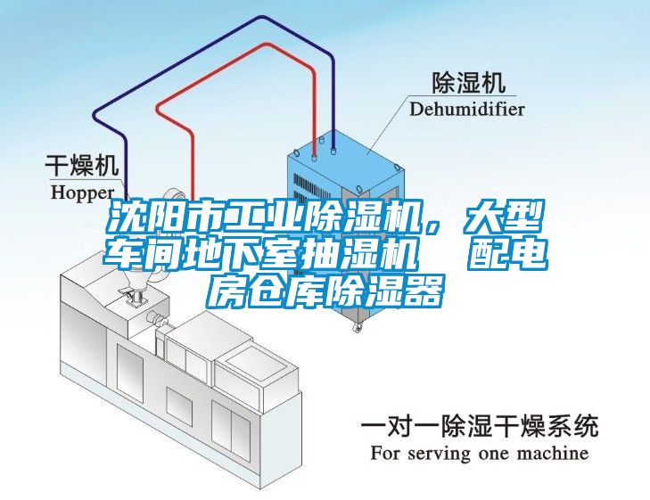 沈阳市工业蜜柚直播APP正版下载，大型车间地下室抽湿机  配电房仓库除湿器