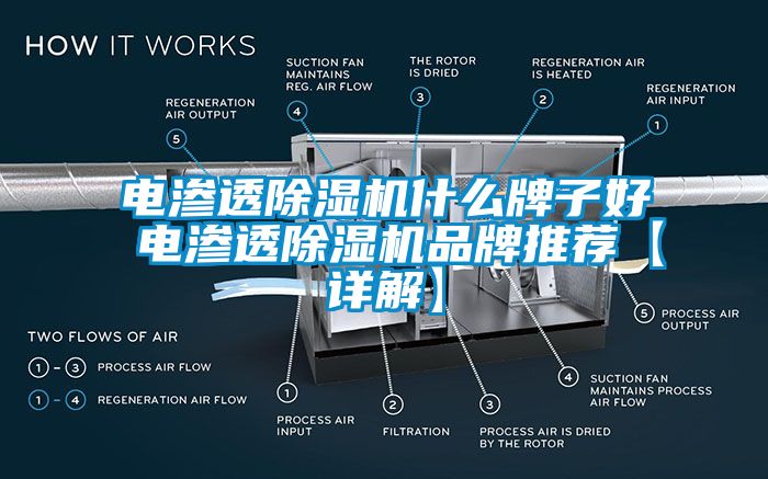 电渗透蜜柚直播APP正版下载什么牌子好 电渗透蜜柚直播APP正版下载品牌推荐【详解】