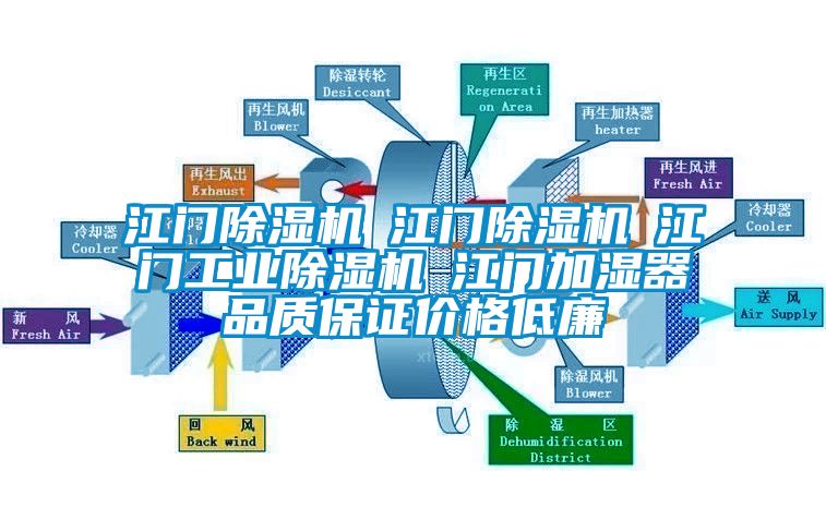 江门蜜柚直播APP正版下载☆江门蜜柚直播APP正版下载☆江门工业蜜柚直播APP正版下载☆江门加湿器品质保证价格低廉