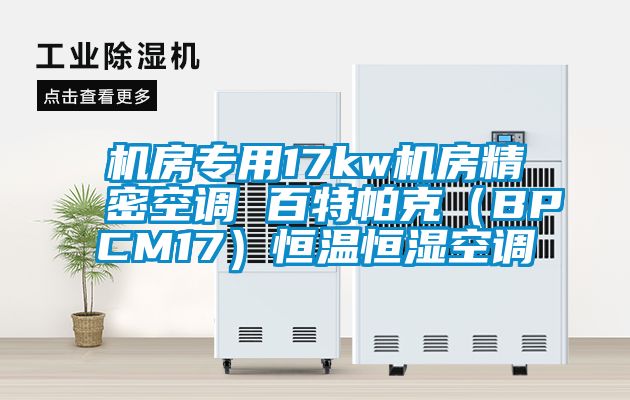 机房专用17kw机房精密空调 百特帕克（BPCM17）恒温恒湿空调