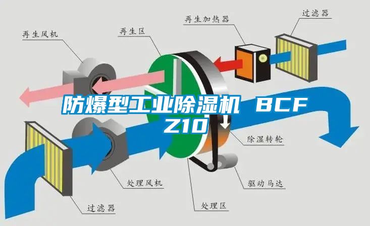 防爆型工业蜜柚直播APP正版下载 BCFZ10