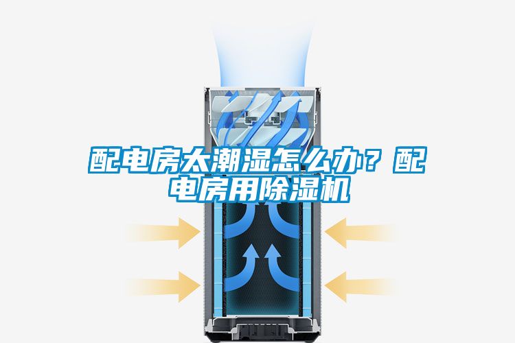 配电房太潮湿怎么办？配电房用蜜柚直播APP正版下载