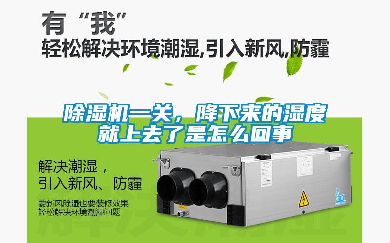 蜜柚直播APP正版下载一关，降下来的湿度就上去了是怎么回事