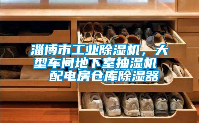 淄博市工业蜜柚直播APP正版下载，大型车间地下室抽湿机  配电房仓库除湿器