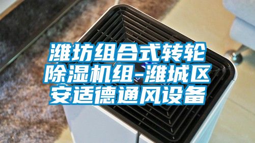 潍坊组合式转轮蜜柚直播APP正版下载组-潍城区安适德通风设备