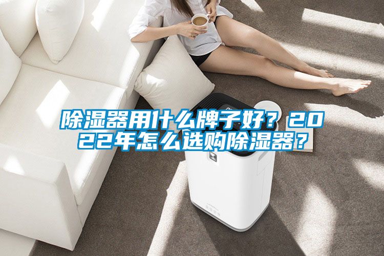 除湿器用什么牌子好？2022年怎么选购除湿器？