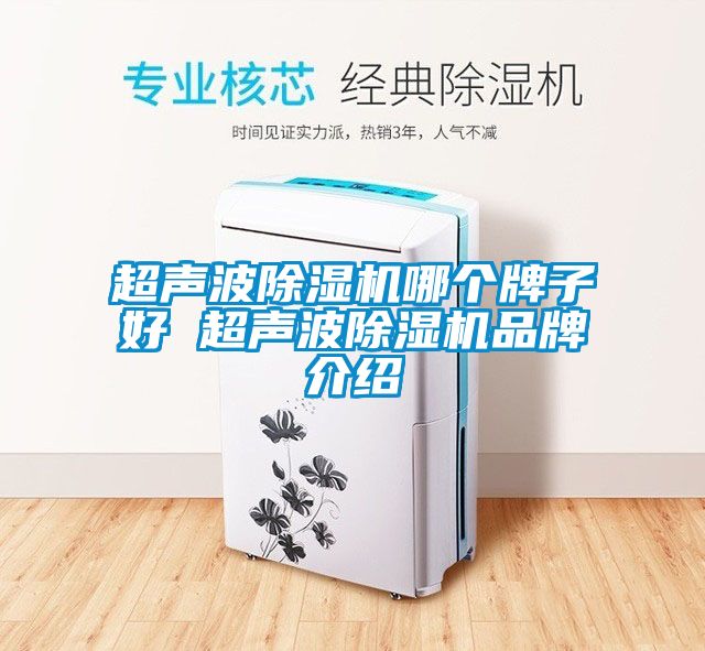 超声波蜜柚直播APP正版下载哪个牌子好 超声波蜜柚直播APP正版下载品牌介绍