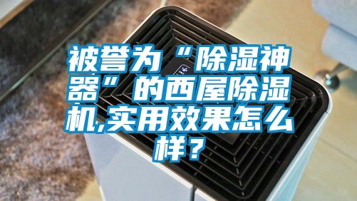 被誉为“除湿神器”的西屋蜜柚直播APP正版下载,实用效果怎么样？