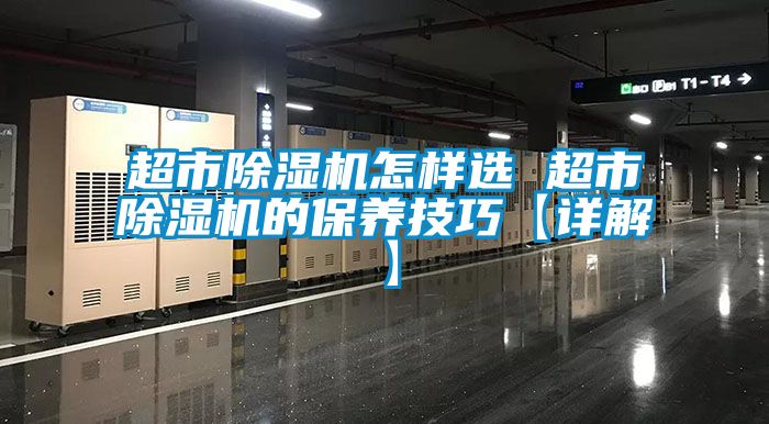 超市蜜柚直播APP正版下载怎样选 超市蜜柚直播APP正版下载的保养技巧【详解】