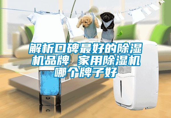 解析口碑最好的蜜柚直播APP正版下载品牌 家用蜜柚直播APP正版下载哪个牌子好