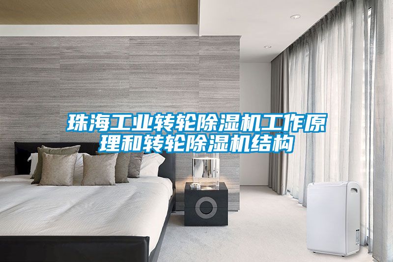 珠海工业转轮蜜柚直播APP正版下载工作原理和转轮蜜柚直播APP正版下载结构