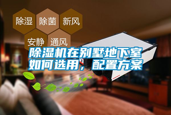 蜜柚直播APP正版下载在别墅地下室如何选用，配置方案