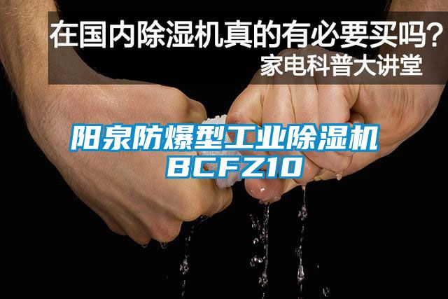 阳泉防爆型工业蜜柚直播APP正版下载 BCFZ10