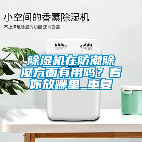 蜜柚直播APP正版下载在防潮除湿方面有用吗？看你放哪里_重复