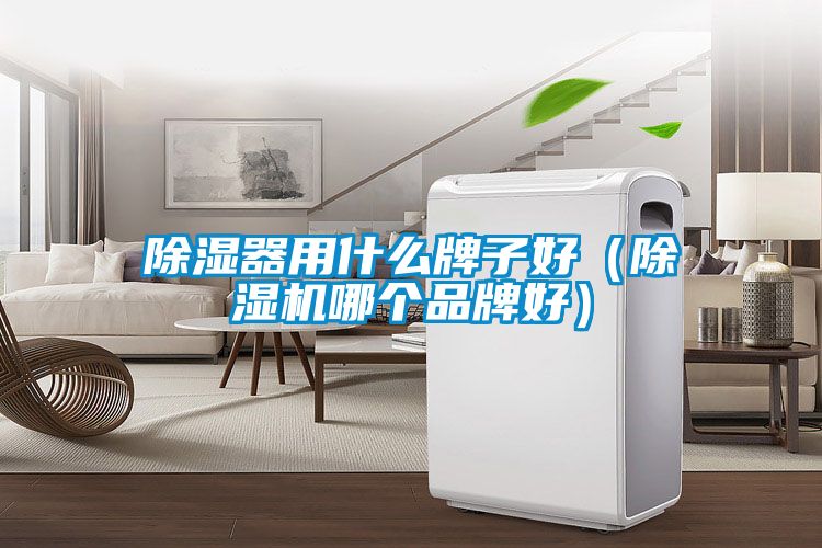 除湿器用什么牌子好（蜜柚直播APP正版下载哪个品牌好）