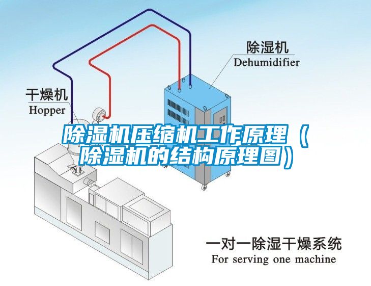 蜜柚直播APP正版下载压缩机工作原理（蜜柚直播APP正版下载的结构原理图）