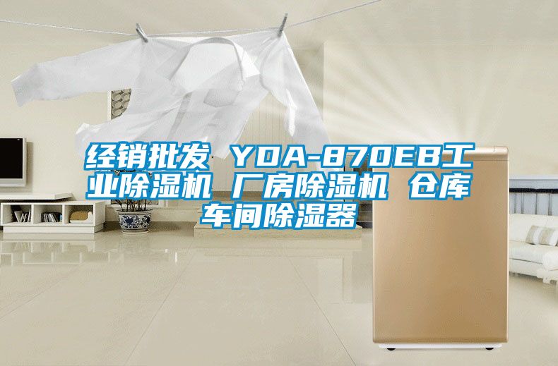 经销批发 YDA-870EB工业蜜柚直播APP正版下载 厂房蜜柚直播APP正版下载 仓库车间除湿器