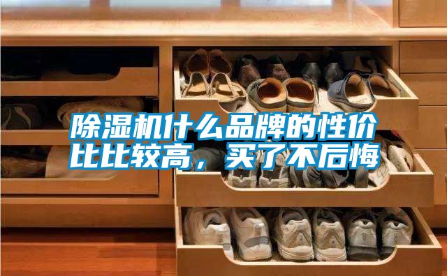 蜜柚直播APP正版下载什么品牌的性价比比较高，买了不后悔