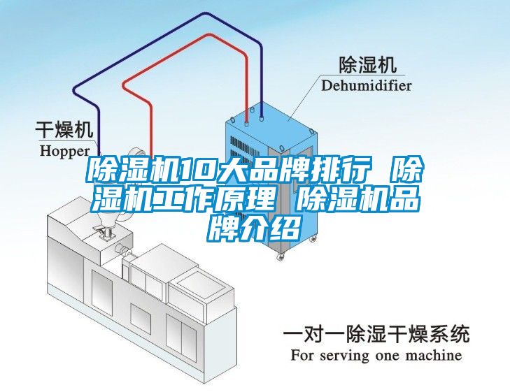 蜜柚直播APP正版下载10大品牌排行 蜜柚直播APP正版下载工作原理 蜜柚直播APP正版下载品牌介绍