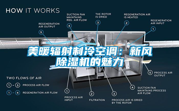 美暖辐射制冷空调：新风蜜柚直播APP正版下载的魅力