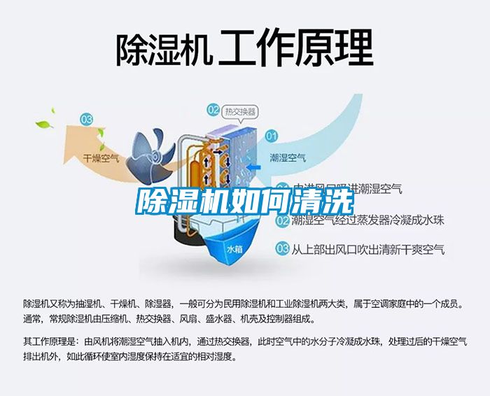 蜜柚直播APP正版下载如何清洗