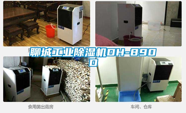 聊城工业蜜柚直播APP正版下载DH-890D