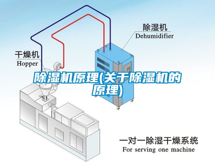 蜜柚直播APP正版下载原理(关于蜜柚直播APP正版下载的原理)