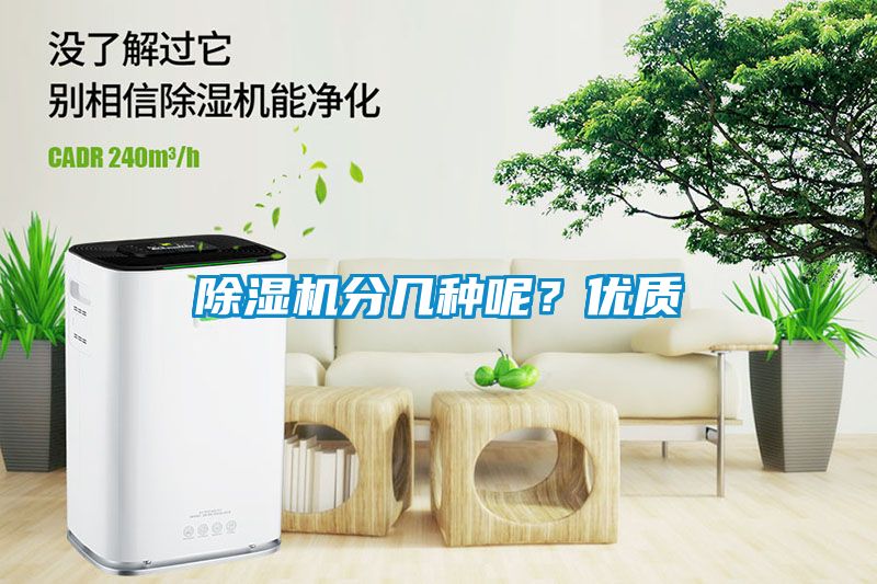 蜜柚直播APP正版下载分几种呢？优质