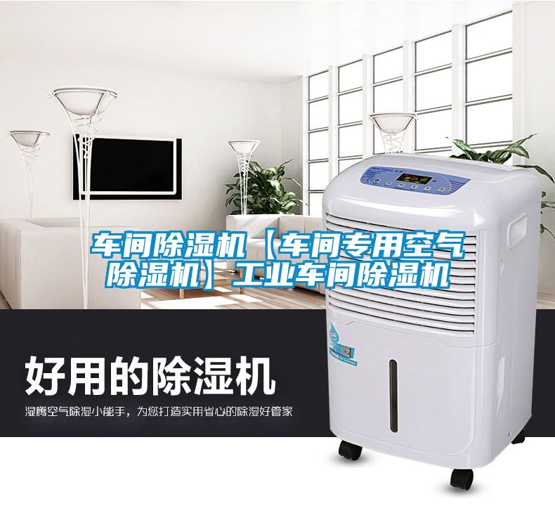 车间蜜柚直播APP正版下载【车间专用空气蜜柚直播APP正版下载】工业车间蜜柚直播APP正版下载