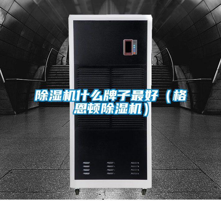蜜柚直播APP正版下载什么牌子最好（格恩顿蜜柚直播APP正版下载）