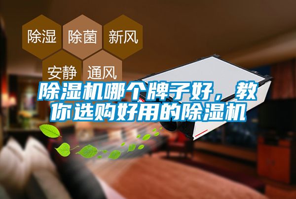 蜜柚直播APP正版下载哪个牌子好，教你选购好用的蜜柚直播APP正版下载