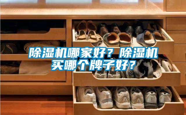蜜柚直播APP正版下载哪家好？蜜柚直播APP正版下载买哪个牌子好？