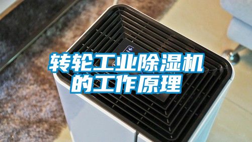 转轮工业蜜柚直播APP正版下载的工作原理