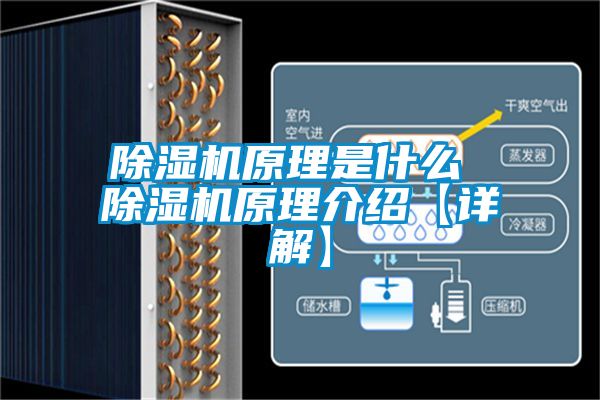 蜜柚直播APP正版下载原理是什么 蜜柚直播APP正版下载原理介绍【详解】