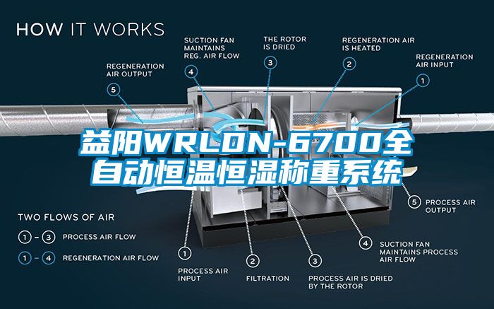 益阳WRLDN-6700全自动恒温恒湿称重系统