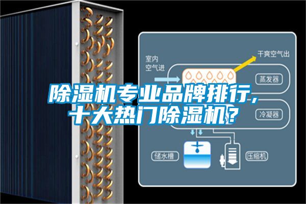 蜜柚直播APP正版下载专业品牌排行,十大热门蜜柚直播APP正版下载？