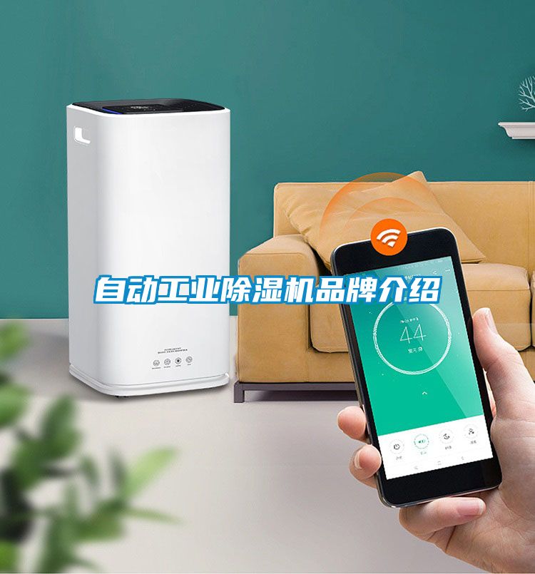 自动工业蜜柚直播APP正版下载品牌介绍